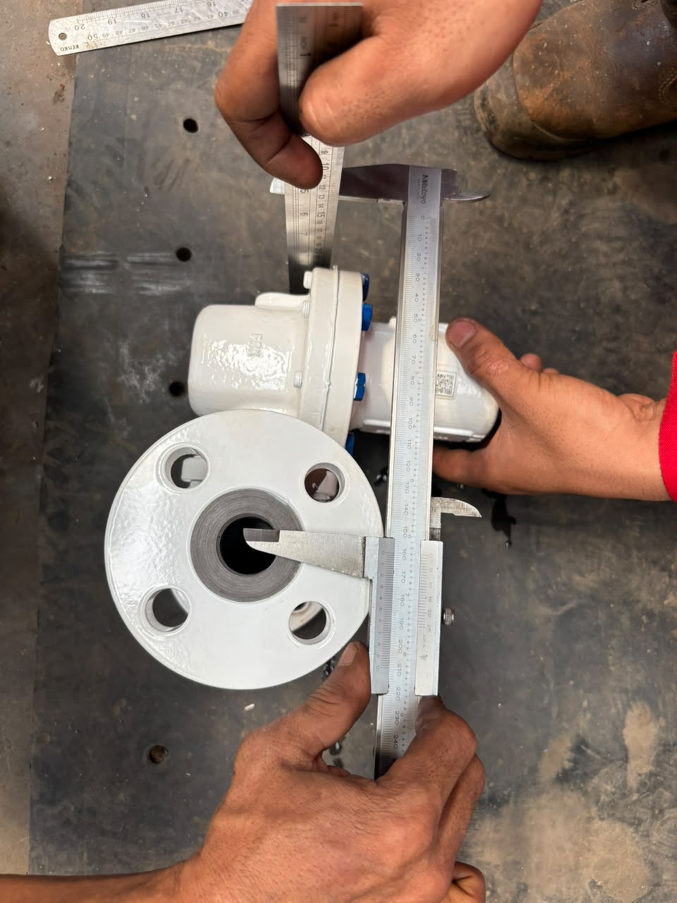 Inspection Valve